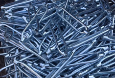 開體花蘭本身所具有的優勢